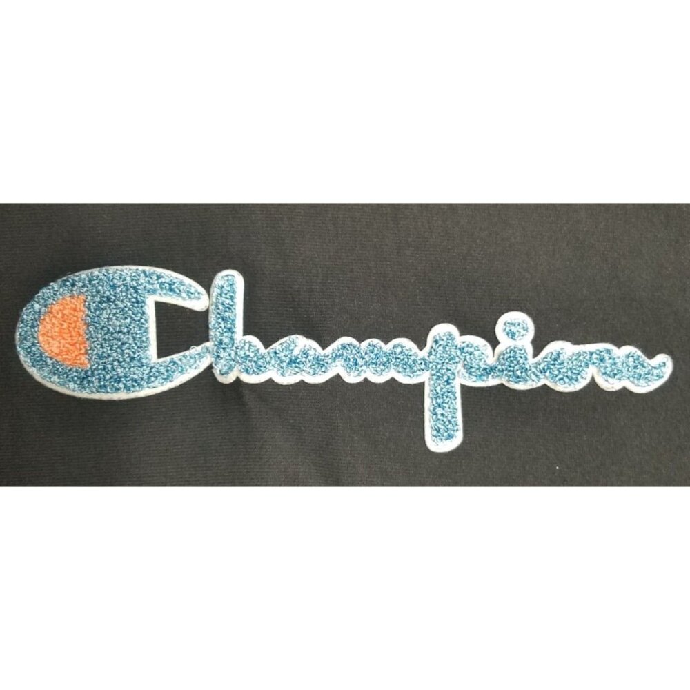 Champion Big Logo Reverse Weave Black Hoodie Hooded Sweatshirt Women's Small - Picture 2 of 14